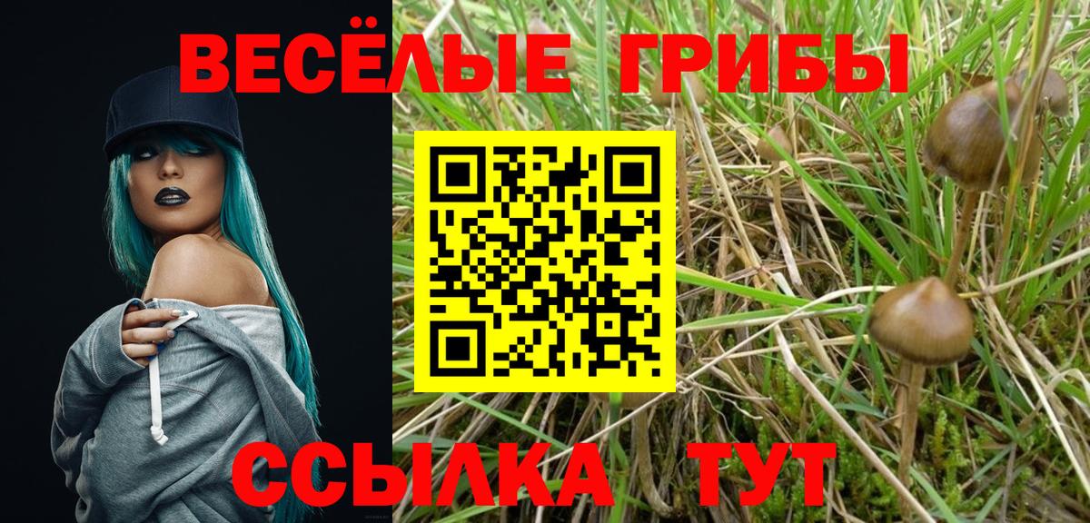 Галлюциногенные грибы Psilocybine cubensis  Вход с VPN  Ярцево 