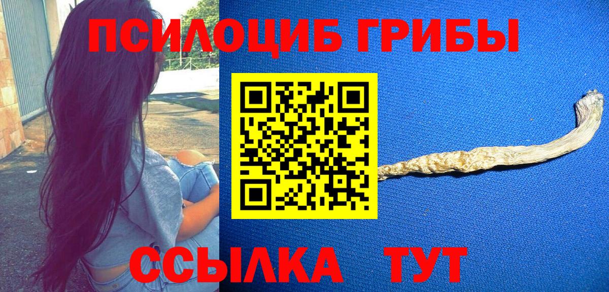 Псилоцибиновые грибы Cubensis Ярцево